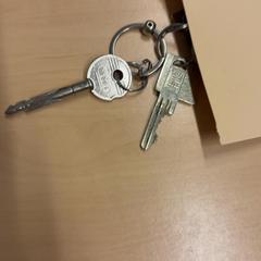 Sleutels, zoals gemeld door RET met iLost