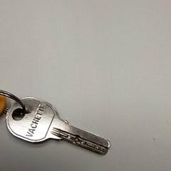 Gakoa, gisa salatu by ilévia iLost erabiliz