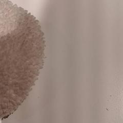 Knuffel, as reported by De Efteling using iLost