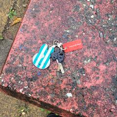 key, as reported to iLost
