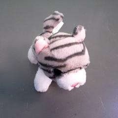 Knuffel kat, amint azt Diergaarde Blijdorp az iLost segítségével jelentette.