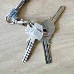 keycord met (huis)sleutels がiLostに報告されました