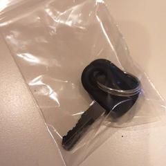 Nøkkel Zwart sleutel fiets, som rapportert av LUMC ved bruk av iLost