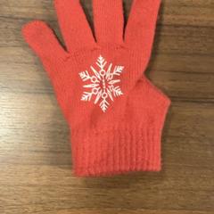 Rukavice, jak nahlášeno Pathé Zaandam pomocí iLost