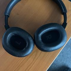 Hörlurar, rapporterat av Arriva Achterhoek-Rivierenland med iLost