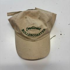 كاسكيت Beige met Groen، كما تم الإبلاغ عنه بواسطة Avonturenpark Hellendoorn عبر iLost