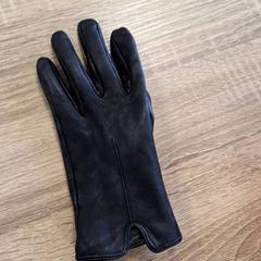 Hanske zwart, som rapportert av RRReis IJssel-Vecht Lelystad ved bruk av iLost