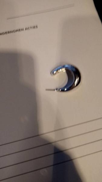Earring Zilverkleurig