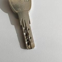 İLost kullanarak Centraal magazijn tarafından bildirildiği gibi Anahtar - Met sleutelhanger