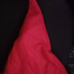 Txapela, gisa salatu by Arriva West-Brabant iLost erabiliz