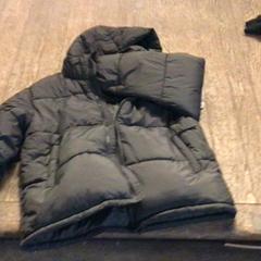 Dzseki Zwart, gewatteerd, amint azt De Heeren van Aemstel az iLost segítségével jelentette.