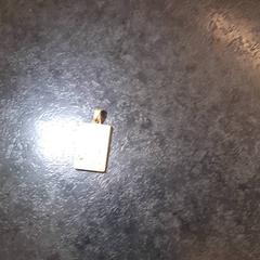 Collier, a été signalé par Rotterdam The Hague Airport utilisant iLost