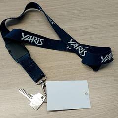 Schlüssel, gemeldet von Regio Limburg - Leuven über iLost