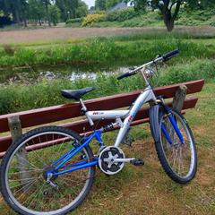 Fiets, som rapporterats till iLost