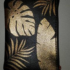 Peňaženka, ako bolo nahlásené Regio Antwerpen - Brussel pomocou iLost