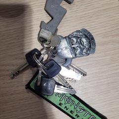 Nøkkelring, som rapportert av Gemeente Westervoort ved bruk av iLost