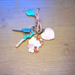 المفاتيح hello kitty sleutelhanger، كما تم الإبلاغ عنه بواسطة Bobbejaanland عبر iLost
