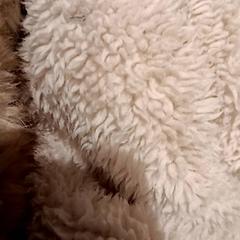 Txamarra, gisa salatu by De Efteling iLost erabiliz