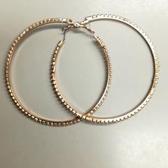 Ohrringe Goud, diamantjes, gemeldet von Burgers' Zoo über iLost