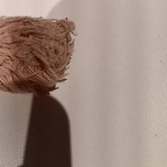 Plüss, amint azt De Efteling az iLost segítségével jelentette.