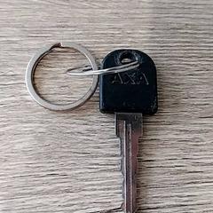 Klucz, zgłoszono przez Arriva Limburg Zuid przy użyciu iLost