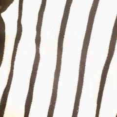 İLost kullanarak Centraal magazijn tarafından bildirildiği gibi Kazak