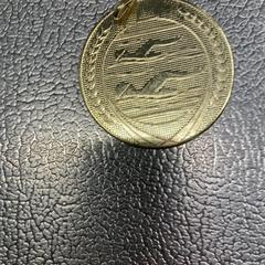 Medalje, som rapportert av IKEA Haarlem ved bruk av iLost