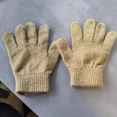 İLost kullanarak Burgers' Zoo tarafından bildirildiği gibi Eldivenler Groen