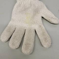 Handschuh, gemeldet von Transdev Gooi en Vechtstreek über iLost