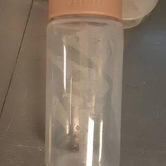 Flaske flrs, som rapportert av Diergaarde Blijdorp ved bruk av iLost