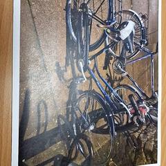 Dámské kolo, jak nahlášeno Gemeente Roermond pomocí iLost