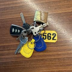 Sleutelbos / Keys, ako bolo nahlásené iLost