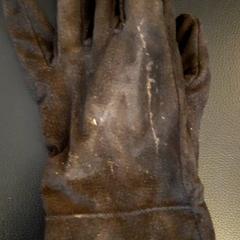 Handskar Rechter handschoen, leer., rapporterat av DierenPark Amersfoort med iLost