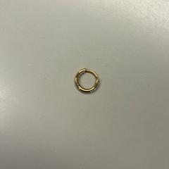 Biżuteria & Kolczyk, zgłoszono przez Burgers' Zoo przy użyciu iLost