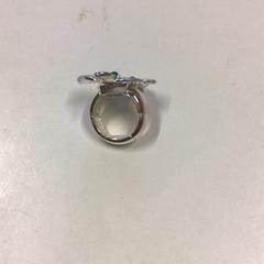 Ring, gemeldet von W2 - Tomorrowland über iLost