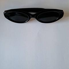 Solglasögon, rapporterat av Keukenhof med iLost