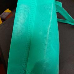 İLost kullanarak TCL tarafından bildirildiği gibi Çanta vert