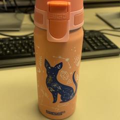 Ampolla, segons ha informat Burgers' Zoo mitjançant iLost