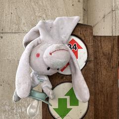 Knuffel met speen, as reported to iLost