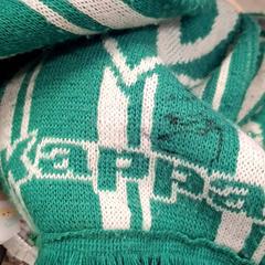 Scarf Verte, as reported by IKEA Grenoble using iLost