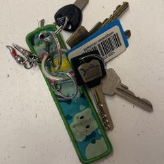 キーホルダー がiLostで HTM によって報告されました