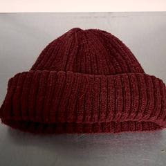 Sang, som rapportert av Keolis Lund ved bruk av iLost