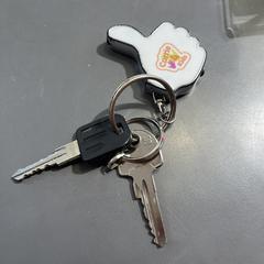 Sleutels, come riportato a iLost