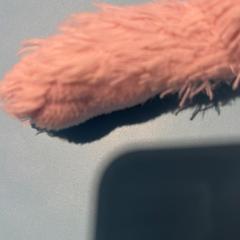 Peluche, come riportato da De Tovertuin utilizzando iLost