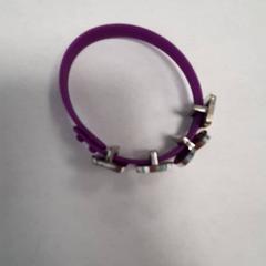 Bracelet Paars, a été signalé par DierenPark Amersfoort utilisant iLost