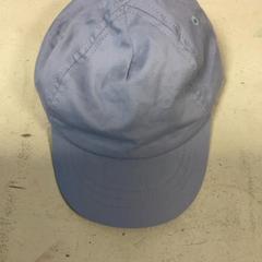 Cap Blauw, segons ha informat Artis mitjançant iLost