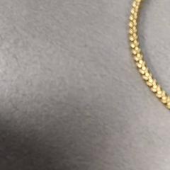 Bracelet, as reported by Arriva Friesland / Groningen using iLost