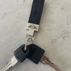 Sleutelhanger van Ekris/Mini met 2 sleutels, iLost에 보고됨
