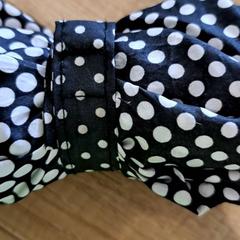 Deštník - zwarte met witte bollen, jak nahlášeno Centraal magazijn pomocí iLost