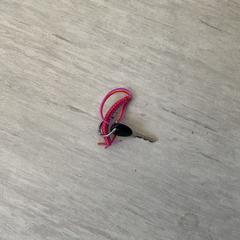 Kľúč od bicykla, ako bolo nahlásené Pinkpop pomocou iLost